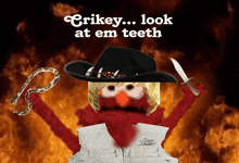 Crikey Crikeymate GIF - Crikey Crikeymate Elmo GIFs