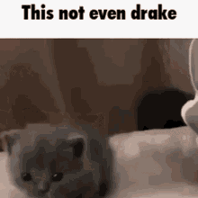 This Not Even Drake GIF