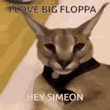 floppa simeon big floppa moss bingus