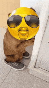 a dog wearing sunglasses and a yellow smiley face on its face