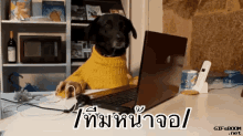 ทีมหน้าจอ หมา คอม ปากกา GIF - Dog Laptop Pen GIFs
