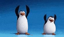 Penguin Dance Happy GIF