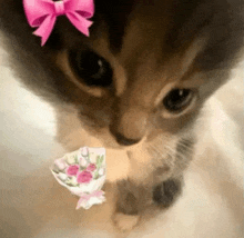 a kitten with a pink bow on its head is holding a small bouquet of flowers .