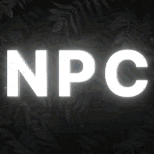 Npc GIF - Npc GIFs