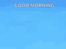 Good Morning Owl GIF - Good Morning Owl Bounce GIFs