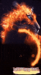 a tiger is surrounded by flames and the words tolga giriş yapil are below it