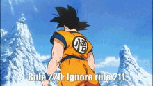 Rule220 Dragon Ball Z GIF - Rule220 Dragon Ball Z GIFs