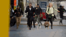 Running The Pack GIF
