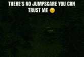 Hood Irony Foxy Jumpscare GIF - Hood Irony Foxy Jumpscare There'S No Jumpscare You Can Trust Me GIFs
