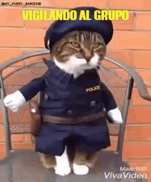 vigilando-al-grupo-vigilando.gif