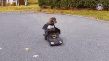 Omw Hero GIF - Omw Hero Batman GIFs