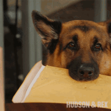 Heres Your Letter Rex GIF - Heres Your Letter Rex Hudson And Rex GIFs