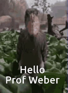 Prof Weber GIF - Prof Weber GIFs