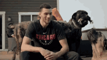 Dog Lover Pets GIF - Dog Lover Pets Dogs GIFs