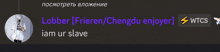 a screenshot of a text message with a picture of a person and the words " lobber frieren / chengdu enjoyer "
