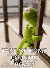 kermit the frog is sitting on a railing holding onto a railing and saying `` take me home country roads '' .