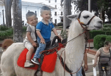 two young boys riding on the back of a white llama