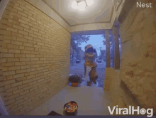 Trick Or Treat Grab GIF - Trick Or Treat Grab Hungry GIFs