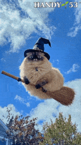a cat wearing a witch hat is flying on a broom with handy 53 in the background