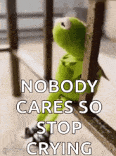 kermit the frog is sitting on a railing with the words `` nobody cares so stop crying '' written on it .
