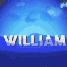 William Family GIF