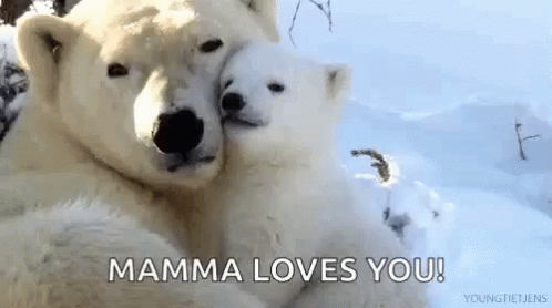 love-polar-bear.gif
