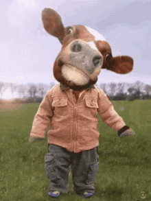 Cow Funny Cow GIF - Cow Funny Cow GIFs