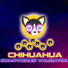 Chihuahua Memecoin GIF - Chihuahua Memecoin Cosmos GIFs