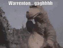 Warrenton Destroy GIF