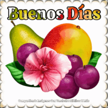 Buenos Dias Good Morning GIF - Buenos Dias Good Morning Fruit GIFs