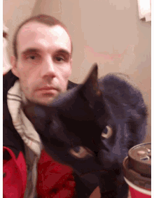 Selfie Cat GIF - Selfie Cat Kitty GIFs
