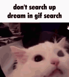 dream dont search in gif