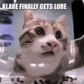 a cat with a surprised look on its face and the words klare finally gets lore below it