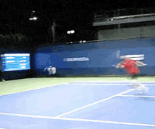 Ernests Gulbis Tennis GIF