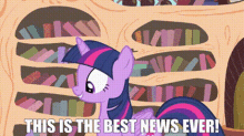 Mlp Twilight Sparkle GIF - Mlp Twilight Sparkle This Is The Best News Ever GIFs