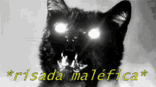 Gatopreto Risada Maléfica Olhoscomlaser GIF - Black Cat Evil Laugh GIFs