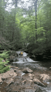a person in a yellow shirt stands on a rock near a waterfall in the woods