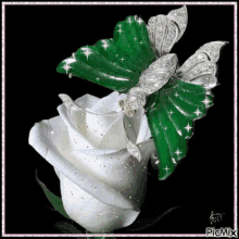 Rose Glitter GIF - Rose Glitter Butterfly GIFs