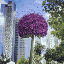 Purple Flowers GIF - Purple Flowers GIFs
