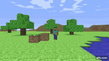 Wasted Minecraft GIF