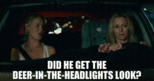 Knocked Up Alison Scott GIF - Knocked Up Alison Scott Did He Get The Deer In The Headlights Look GIFs