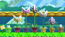 a bunch of potted plants are lined up on a grassy field