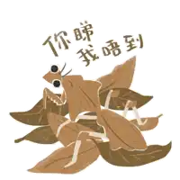 a drawing of a praying mantis with chinese writing