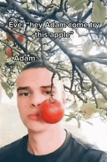 Adam Eve GIF - Adam Eve Apple Picking GIFs
