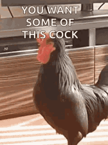 Cock Calling GIF - Cock Calling You GIFs