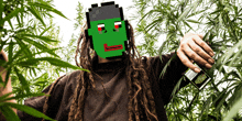 Pepe Punk GIF - Pepe Punk Frog GIFs