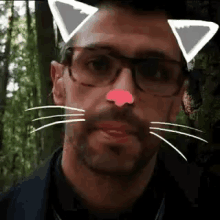 Paparella Papafiesta Selfie GIF - Paparella Papafiesta Selfie Cat GIFs
