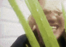 a close up of a person behind a green plant