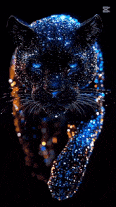 a picture of a black panther with the name ayten on it