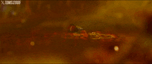 a red background with the word emai written in yellow